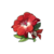 Martial Artist's Red Flower